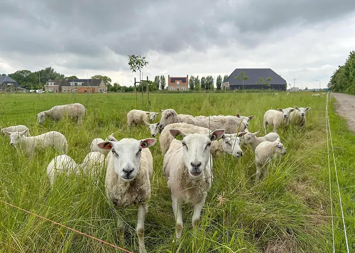Aarde Σπίτι διακοπών