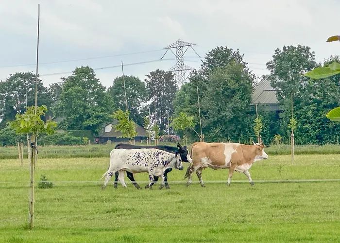 Aarde Σπίτι διακοπών *