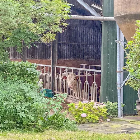 Aarde Hébergement de vacances