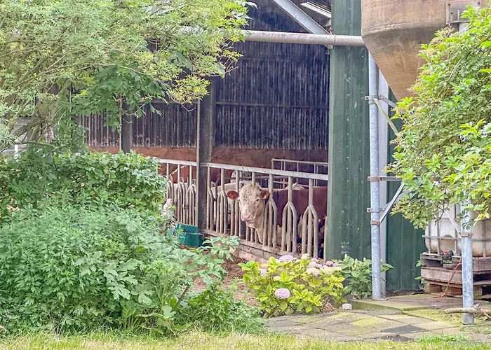 Aarde Hébergement de vacances